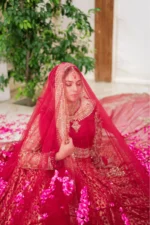 Mastani  |  Bridal Dress - Image 3