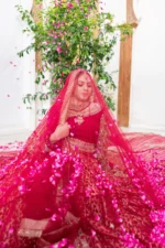 Mastani  |  Bridal Dress - Image 2