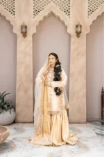 Noor-e-Nikkah  |  Nikkah Dress - Image 8